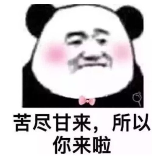 那些年我们见过最沙雕的表情包,你们都是秀儿吧