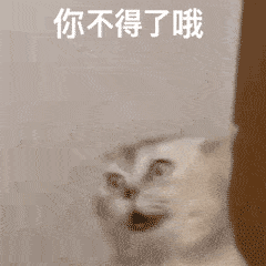 今日份沙雕搞笑表情包