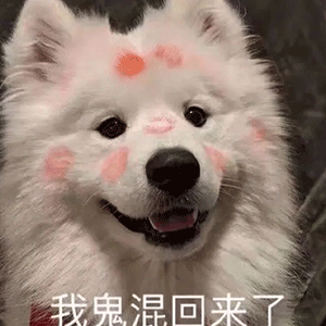 沙雕表情包你有什么可豪横的