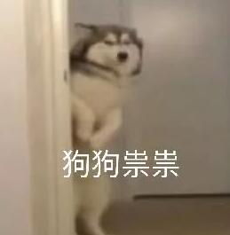 抖音狗狗祟祟带字表情包图片素材分享