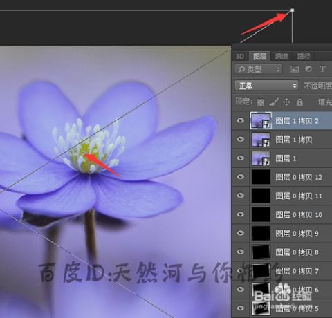 bmp图片制作动画效果动画制作