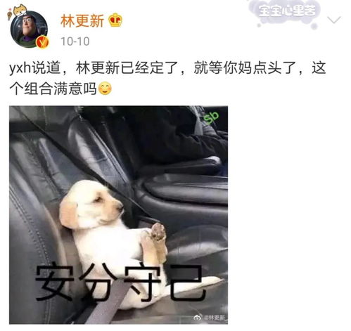 大海到底做错了什么明星的文案能走点心么