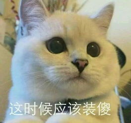 个性搞笑表情包