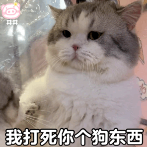 表情包丨搞笑表情包带字图片