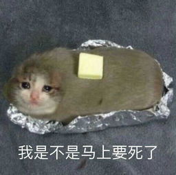 呵呵
