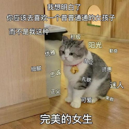 喵星人可爱搞怪表情包系列