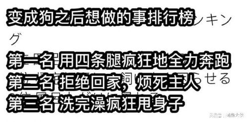 猫猫也会脱发秀逗的表情也太搞笑了吧,哈哈