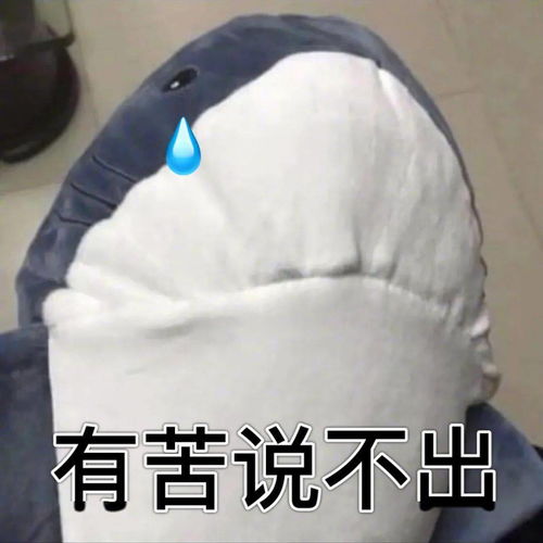 家里猫猫被鲨鱼咬了,奶奶连夜把鲨鱼的嘴缝上了