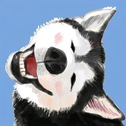 23个字的故事,竟然这么精彩