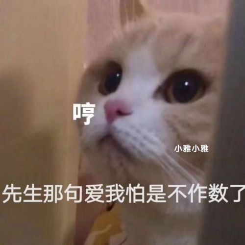 搞笑表情包第二百六十八期