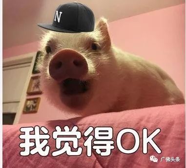 今日冬至,汤圆饺子之争有了结果广佛吃货们的回答亮了......