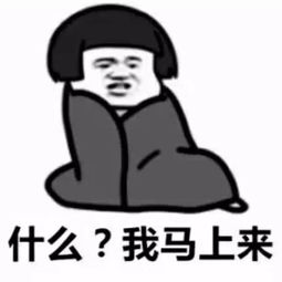 班长,你的表情包已上线