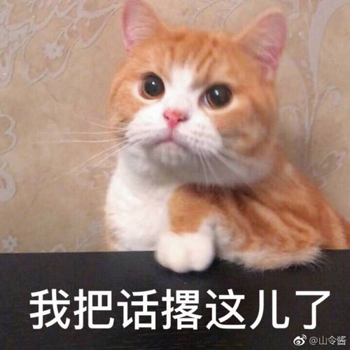 可爱搞笑又沙雕的表情包大全