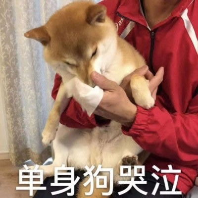表情包头像搞笑图片带文字的单身狗头像