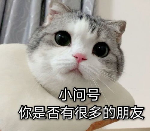 搞笑表情包图片我没事,我很好,我开车去接你