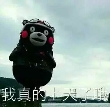 斗图表情包熊本熊