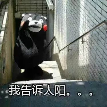 天气太热表情包