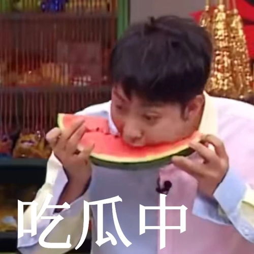 假期必刷爆笑综艺这些表情包你肯定用过快看新西游记