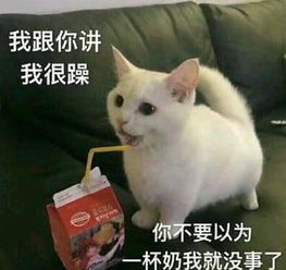 2018年微信最火爆幽默段子,看完的笑抽了