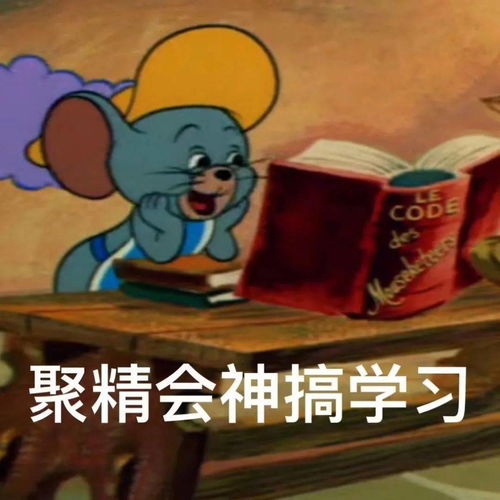 来自小娜的十月第一封信