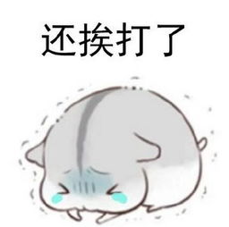 仓鼠要饭表情包
